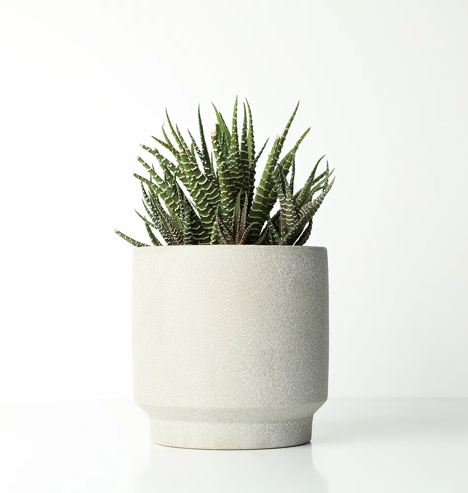 Imagen de maceta decorativa.