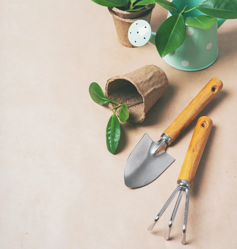 Imagen de accesorio de jardinería.