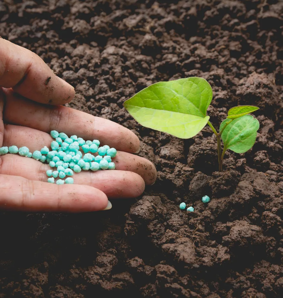 Imagen de fertilizante orgánico.